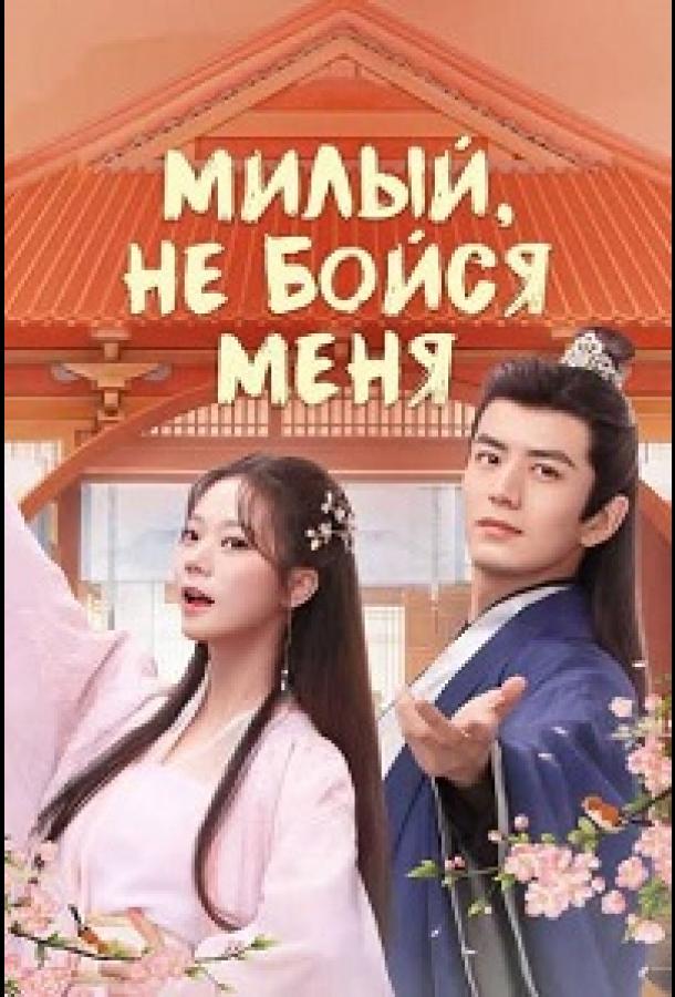 Милый, не бойся меня