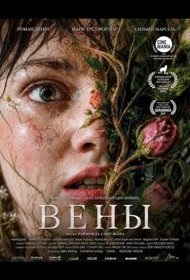 Вены